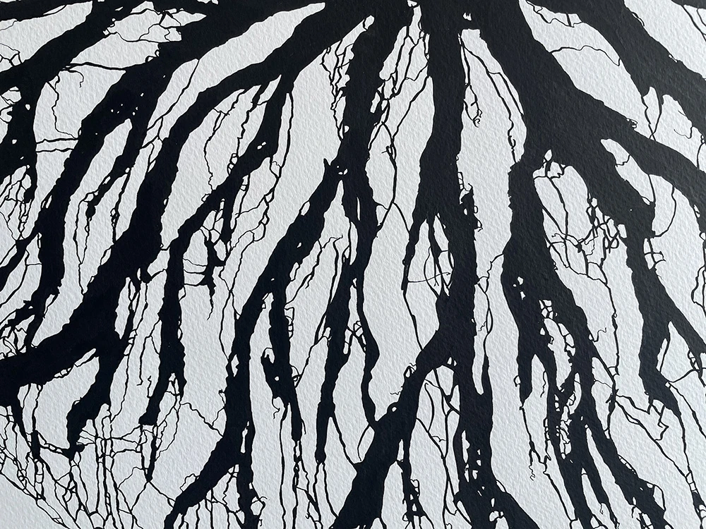 High-resolution detail of the roots in Brothers