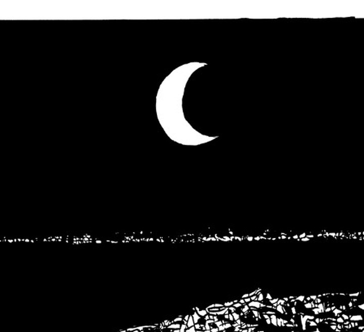 Crescent moon detail, 2022