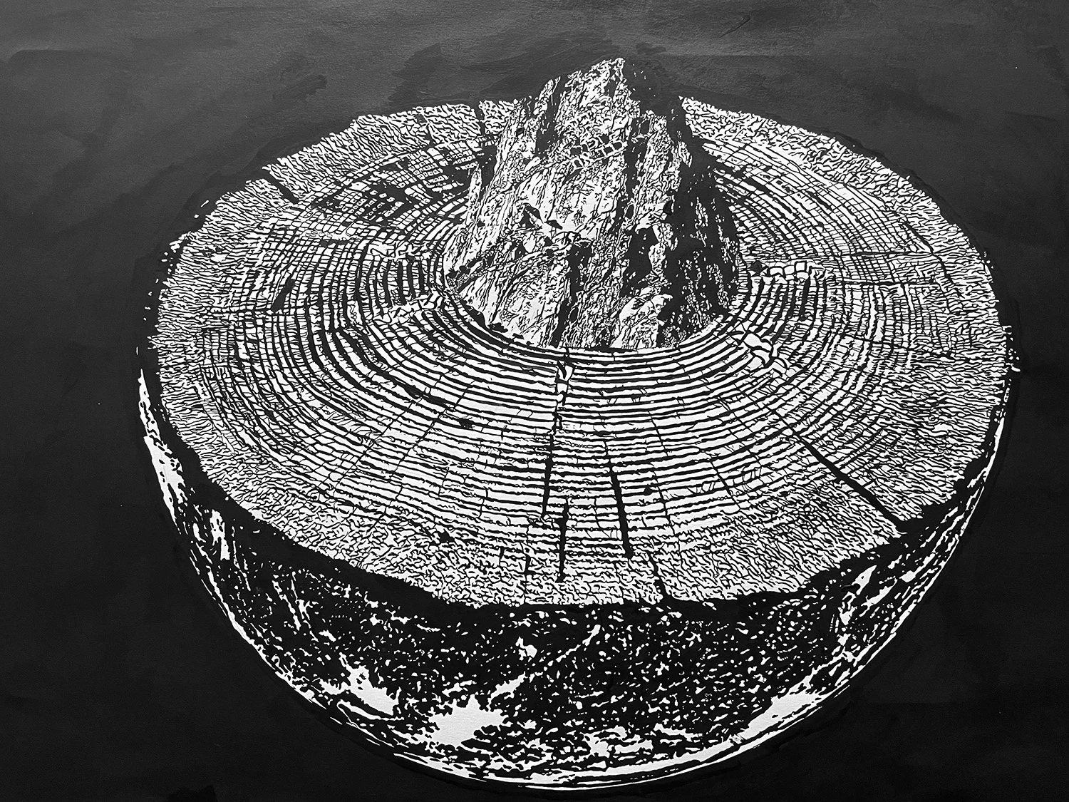 Perspective detail of Seed of Eternity