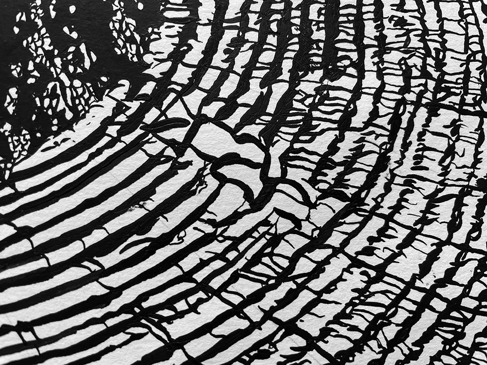 Detail of the concentric rings in Seed of Eternity