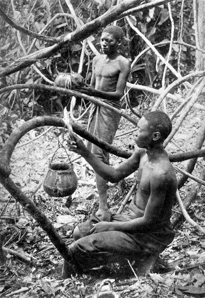Historical photograph of rubber collection in the Congo